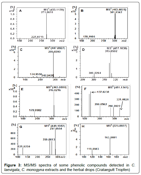 chemical-biology-therapeutics-phenolic-compounds