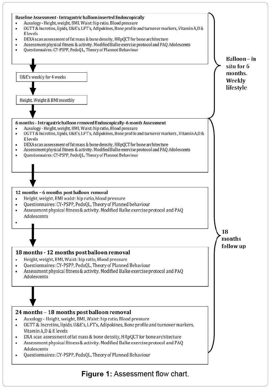 child-adolescent-Assessment-flow-chart