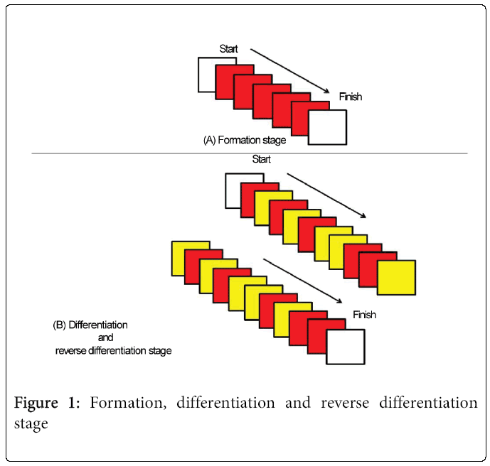child-adolescent-behavior-reverse-differentiation