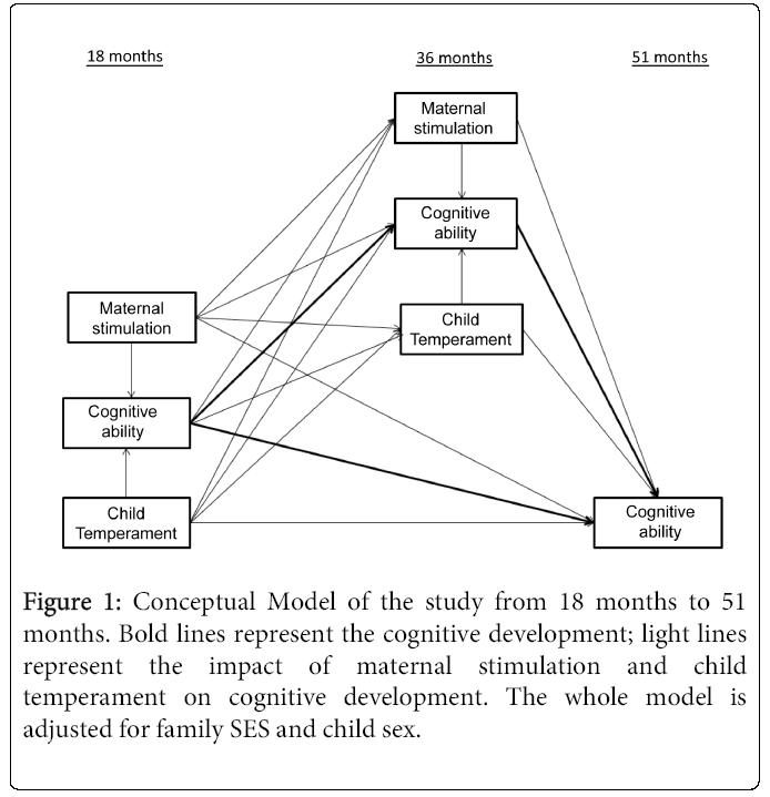 child-adolescent-cognitive-development