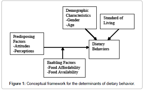 child-and-adolescent-behavior-conceptual