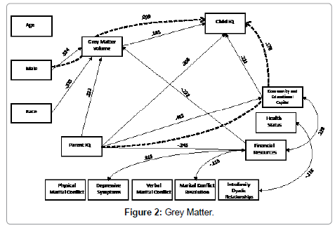 child-and-adolescent-behavior-grey-matter