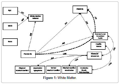 child-and-adolescent-behavior-white-matter