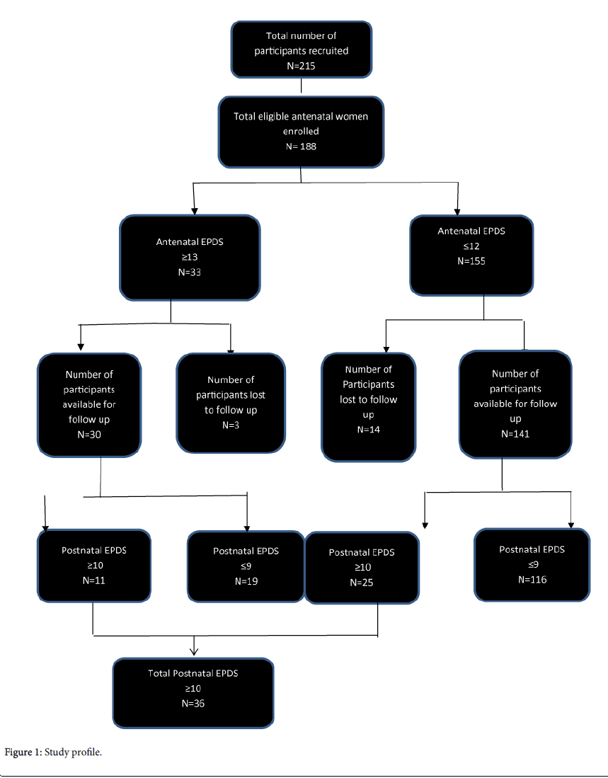 child-health-Study-profile