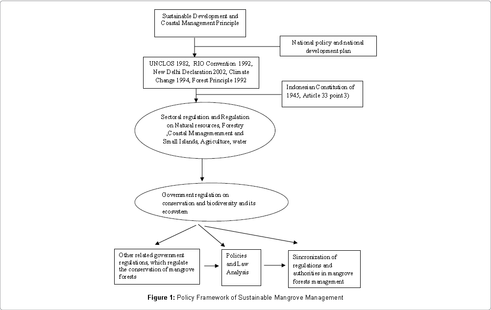 civil-legal-sciences-policy-framework