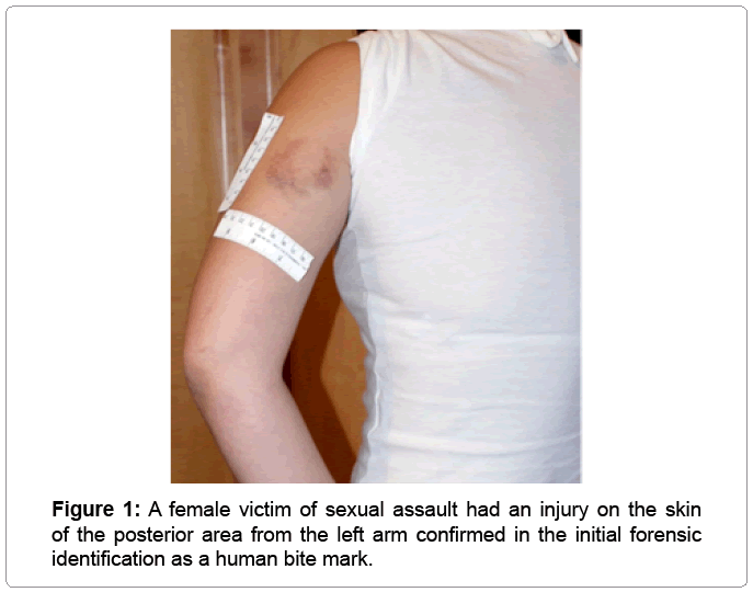 civil-legal-sciences-posterior-area