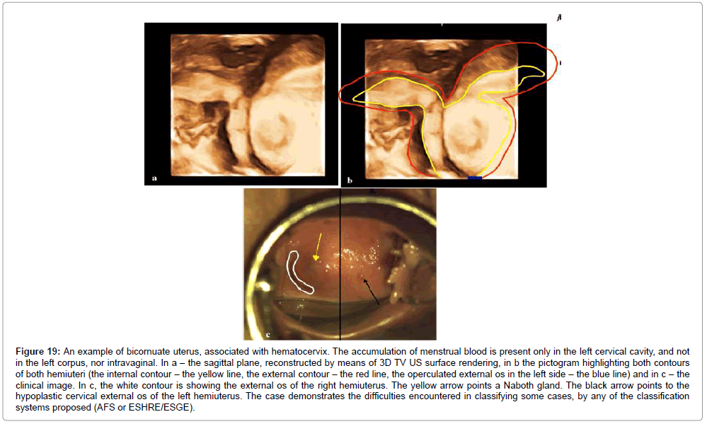 clinical-diagnosis-blood-surface