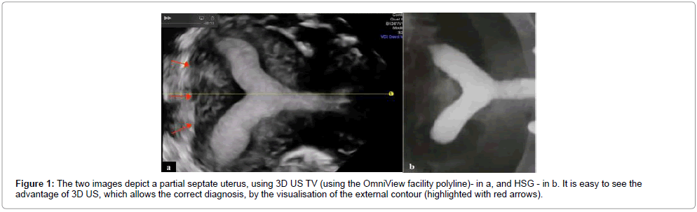 clinical-diagnosis-facility-polyline