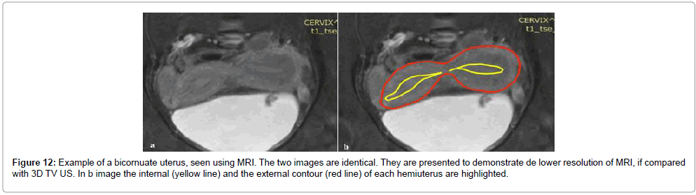 clinical-diagnosis-images-identical