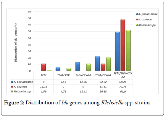 clinical-diagnosis-research-Distribution-bla-genes