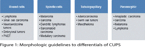 clinical-diagnosis-research-Morphologic-guidelines