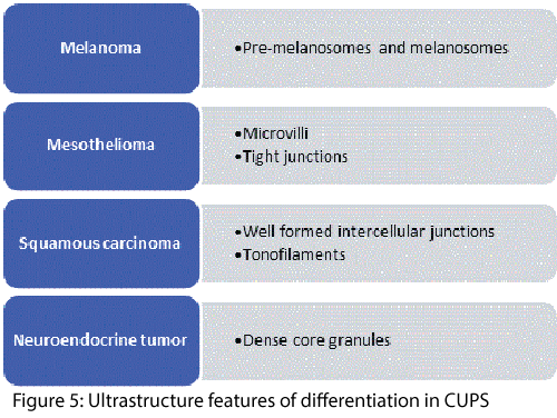 clinical-diagnosis-research-Ultrastructure-features