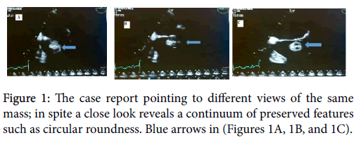 clinical-diagnosis-research-case-report-pointing-different-views
