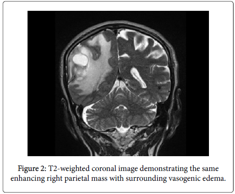clinical-experimental-axial-image