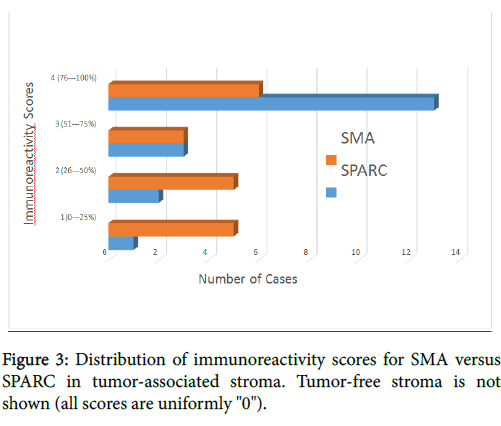 clinical-experimental-pathology-Distribution-of-immunoreactivity