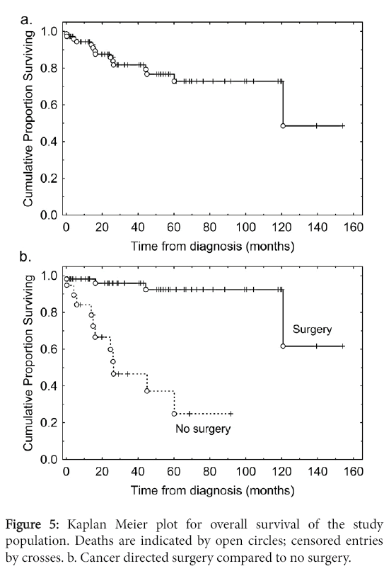 clinical-experimental-pathology-Kaplan-Meier-plot