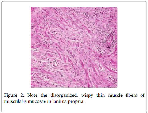 clinical-experimental-pathology-Note-disorganized