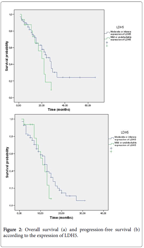 clinical-experimental-pathology-Overall-survival