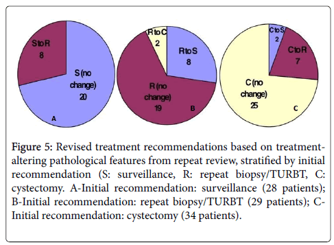 clinical-experimental-pathology-Revised-treatment