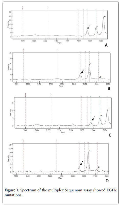 clinical-experimental-pathology-Spectrum-multiplex