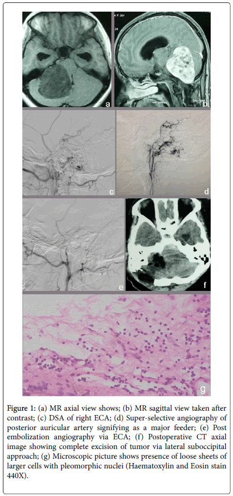 clinical-experimental-pathology-axial-view-shows