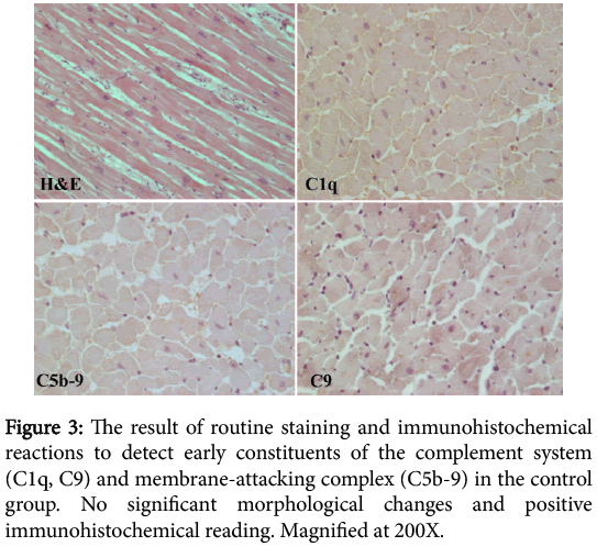 clinical-experimental-pathology-result-routine-staining