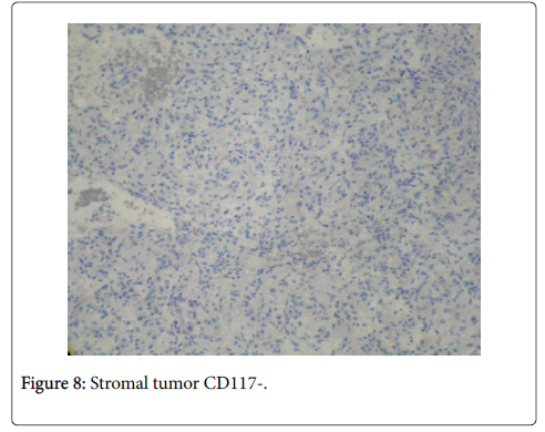 clinical-experimental-pathology-tumor