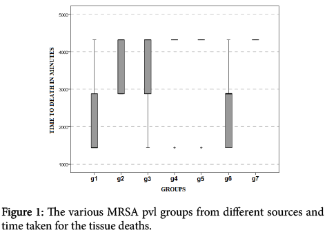clinical-experimental-pathology-various-MRSA-pvl-groups