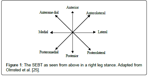 clinical-foot-ankle-Adapted-right