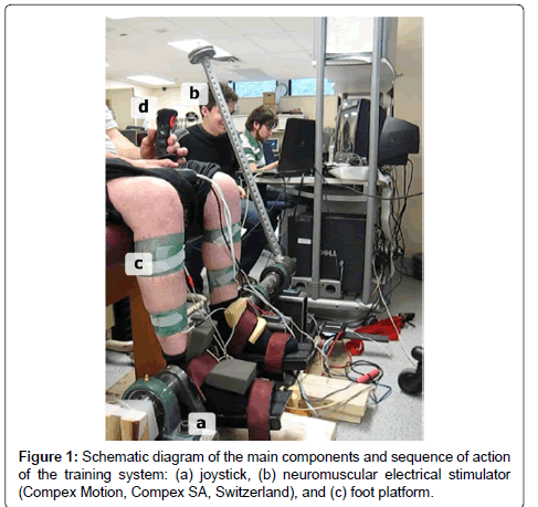 clinical-foot-ankle-electrical-foot