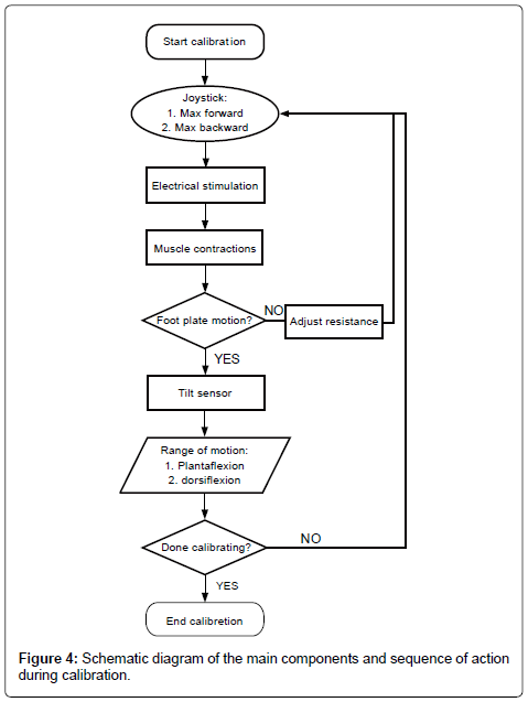 clinical-foot-ankle-sequence-action