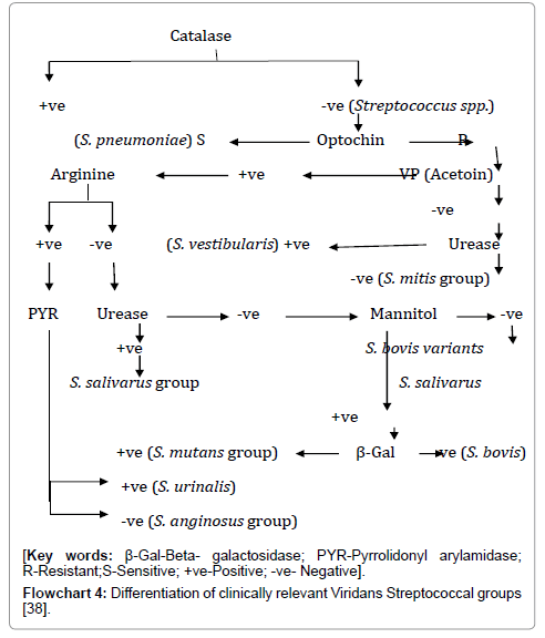 clinical-infectious-diseases-practice-clinically-relevant
