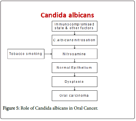 clinical-pathology-EBV-Candida-albicans