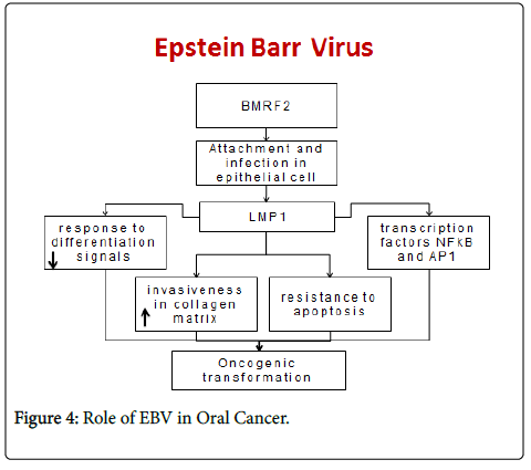 clinical-pathology-EBV-Oral-Cancer