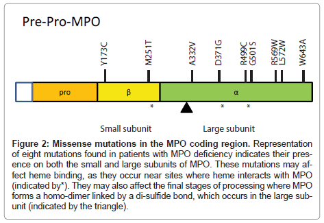clinical-pathology-Missense-mutations