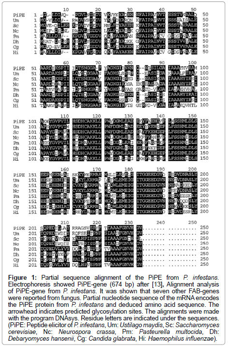 clinical-pathology-Partial-sequence-alignment