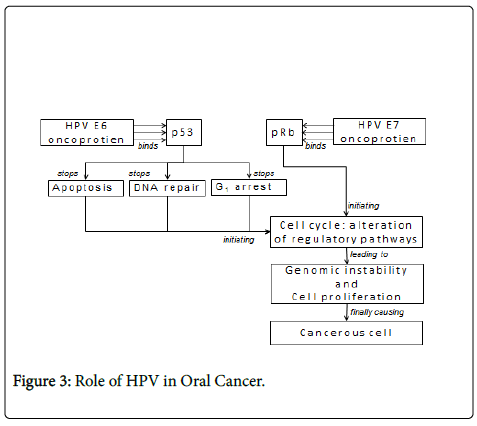 clinical-pathology-Role-Cancer