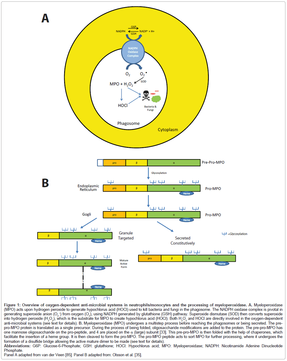 clinical-pathology-anti-microbial-systems