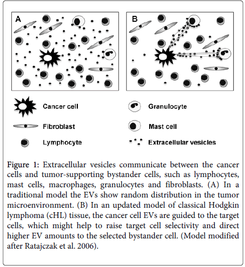 clinical-pathology-bystander-cells