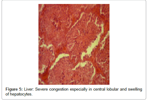clinical-pathology-central-swelling