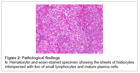 clinical-pathology-eosin-stained