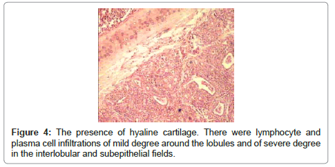 clinical-pathology-hyaline-cartilage
