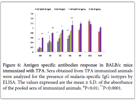 clinical-pathology-malaria-isotypes