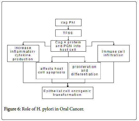 clinical-pathology-pylori-Cancer