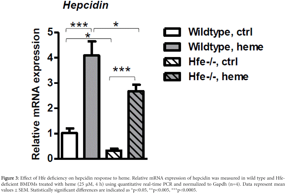 clinical-pharmacology-biopharmaceutics-Effect-Hfe-deficiency