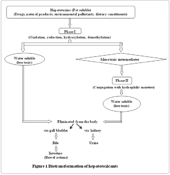 seeding solutions volume