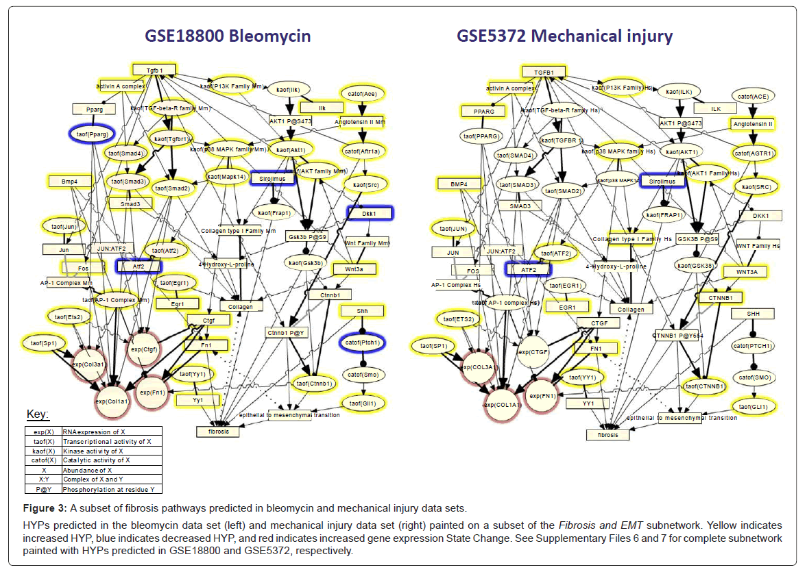 mechanical injury