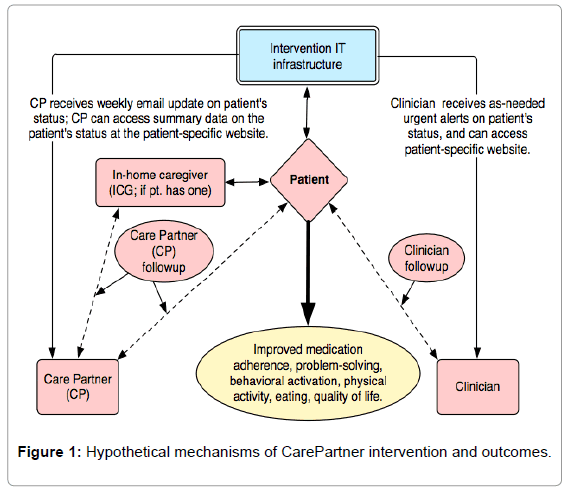 clinical-trials-Hypothetical-mechanisms