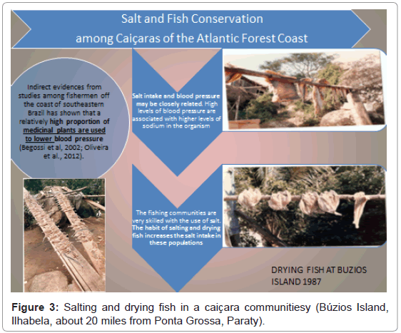 community-medicine-drying-fish
