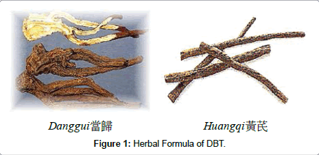 community-medicine-health-education-Herbal-Formula